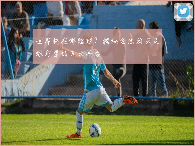 世界杯在哪赌球?揭秘合法购买足球彩票的五大平台