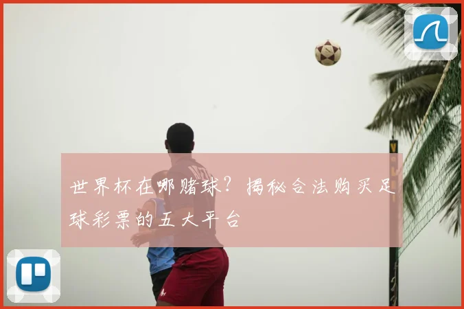 世界杯在哪赌球?揭秘合法购买足球彩票的五大平台