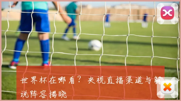 世界杯在哪看?央视直播渠道与解说阵容揭晓