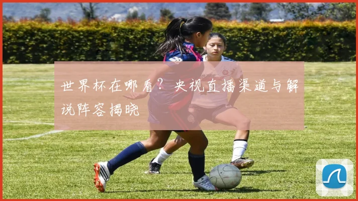 世界杯在哪看?央视直播渠道与解说阵容揭晓